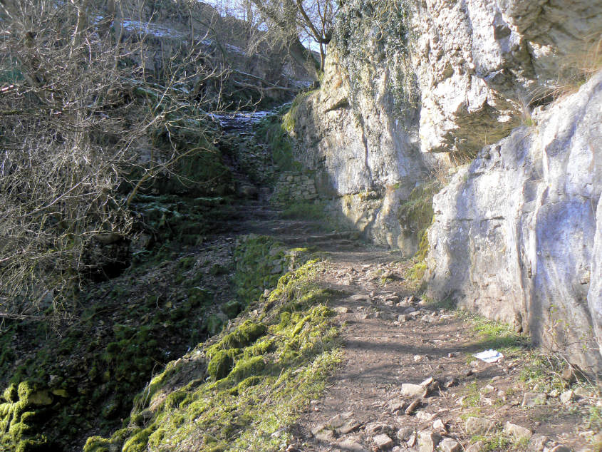 Cales Dale Cales Dale